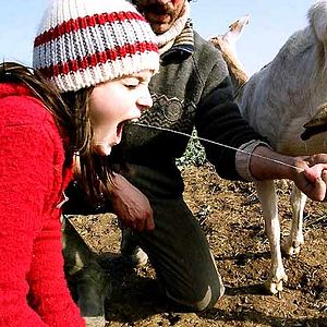 Bilder Roxane Mesquida