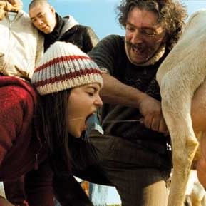 Bilder Vincent Cassel