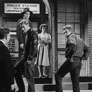 Bilder ...denn sie wissen nicht, was sie tun