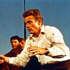 Bilder ...denn sie wissen nicht, was sie tun