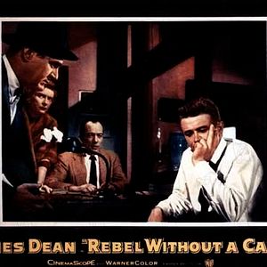 Bilder ...denn sie wissen nicht, was sie tun