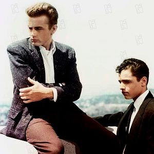 Bilder ...denn sie wissen nicht, was sie tun