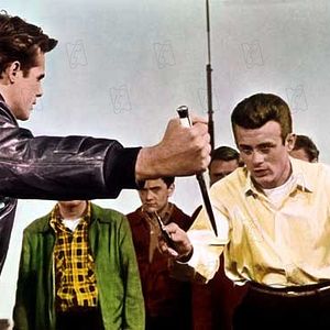 Bilder ...denn sie wissen nicht, was sie tun