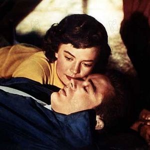 Bilder ...denn sie wissen nicht, was sie tun