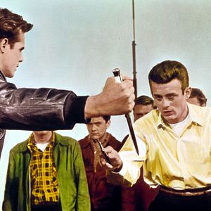 Bilder ...denn sie wissen nicht, was sie tun