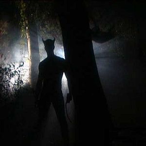 Bilder Paul Etheredge