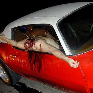 Bilder Paul Etheredge