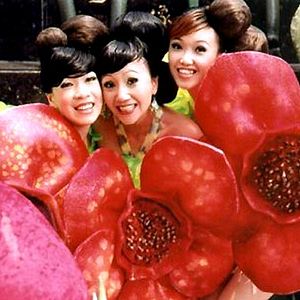 Bilder Tsai Ming-liang