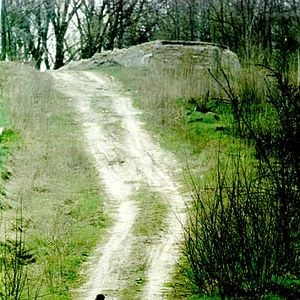 Bilder Russian Cannibal