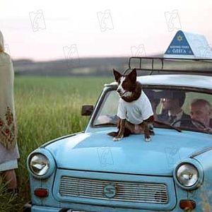 Bilder Alles ist erleuchtet