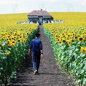 Bilder Alles ist erleuchtet