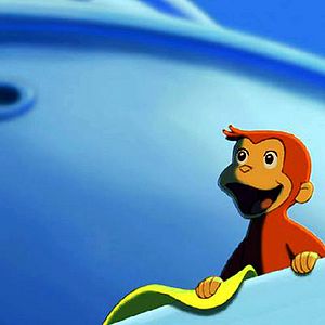 Bilder Matthew O'Callaghan