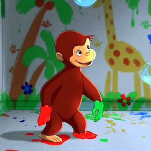 Bilder Matthew O'Callaghan