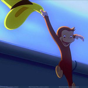 Bilder Matthew O'Callaghan