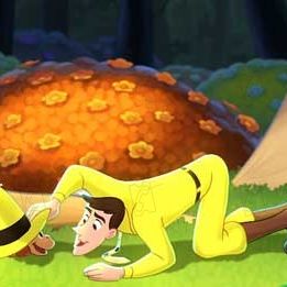 Bilder Matthew O'Callaghan