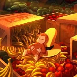 Bilder Matthew O'Callaghan