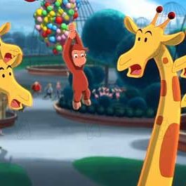 Bilder Matthew O'Callaghan