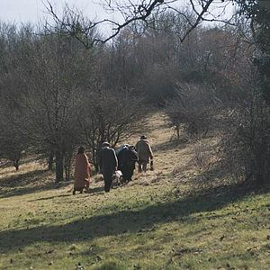 Bilder Christophe Malavoy