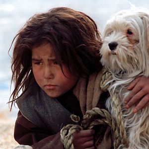 Bilder Marzieh Meshkini