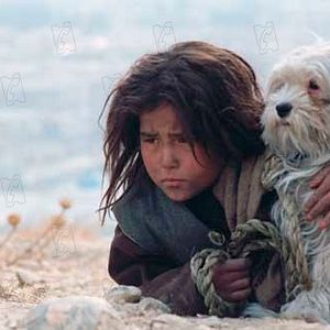 Bilder Marzieh Meshkini