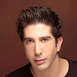 Bilder David Schwimmer