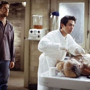 Bilder Six Feet Under - Gestorben wird immer