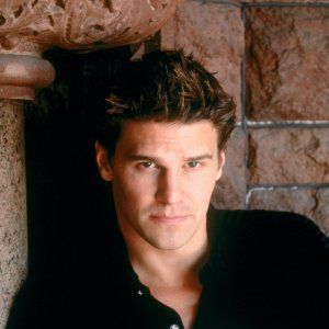 Bilder David Boreanaz