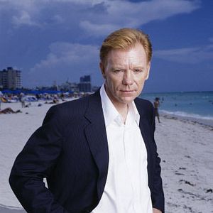Bilder David Caruso