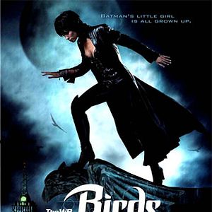 Bilder Birds of Prey