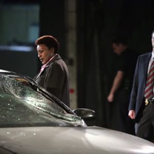 Bilder David Marciano