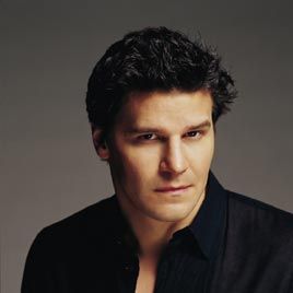 Bilder Angel - Jäger der Finsternis