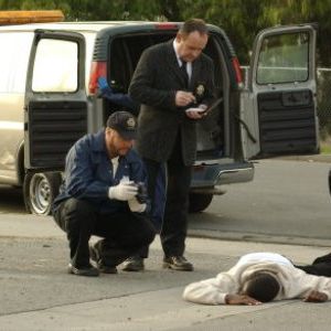 Bilder William L. Petersen