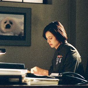 Bilder Catherine Bell