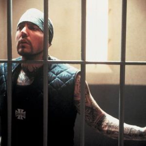 Bilder Evan Seinfeld