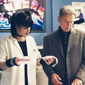 Bilder Pauley Perrette