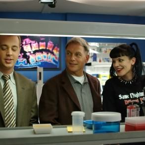 Bilder Pauley Perrette