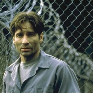 Bilder David Duchovny