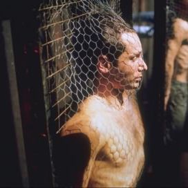 Bilder David Duchovny