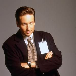 Bilder David Duchovny