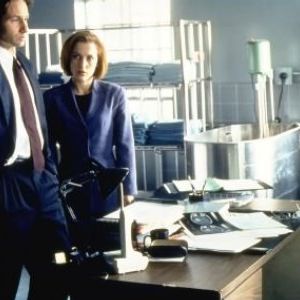 Bilder David Duchovny