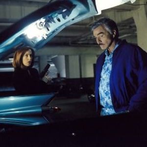 Bilder Gillian Anderson