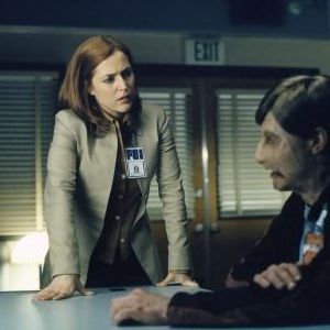 Bilder Gillian Anderson