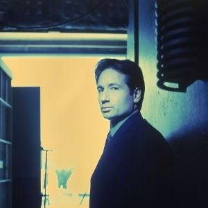 Bilder David Duchovny