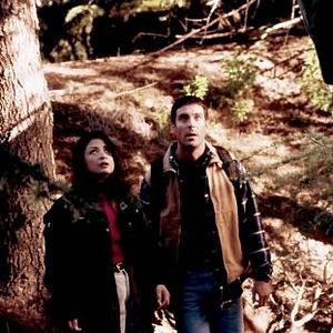 Bilder Michael T. Weiss