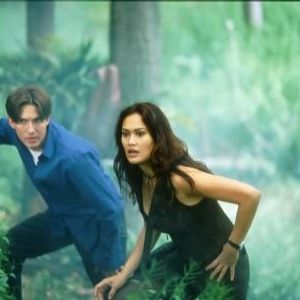 Bilder Christien Anholt