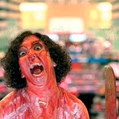 Bilder Monica Cervera