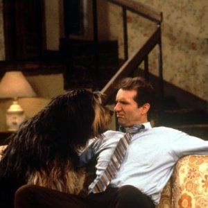 Bilder Eine schrecklich nette Familie