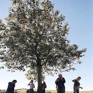 Bilder Coline Serreau