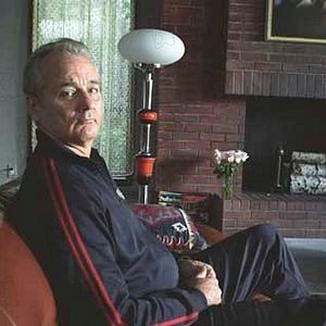 Bilder Bill Murray