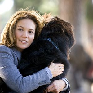 Bilder Gary David Goldberg